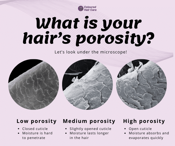 hair porosity